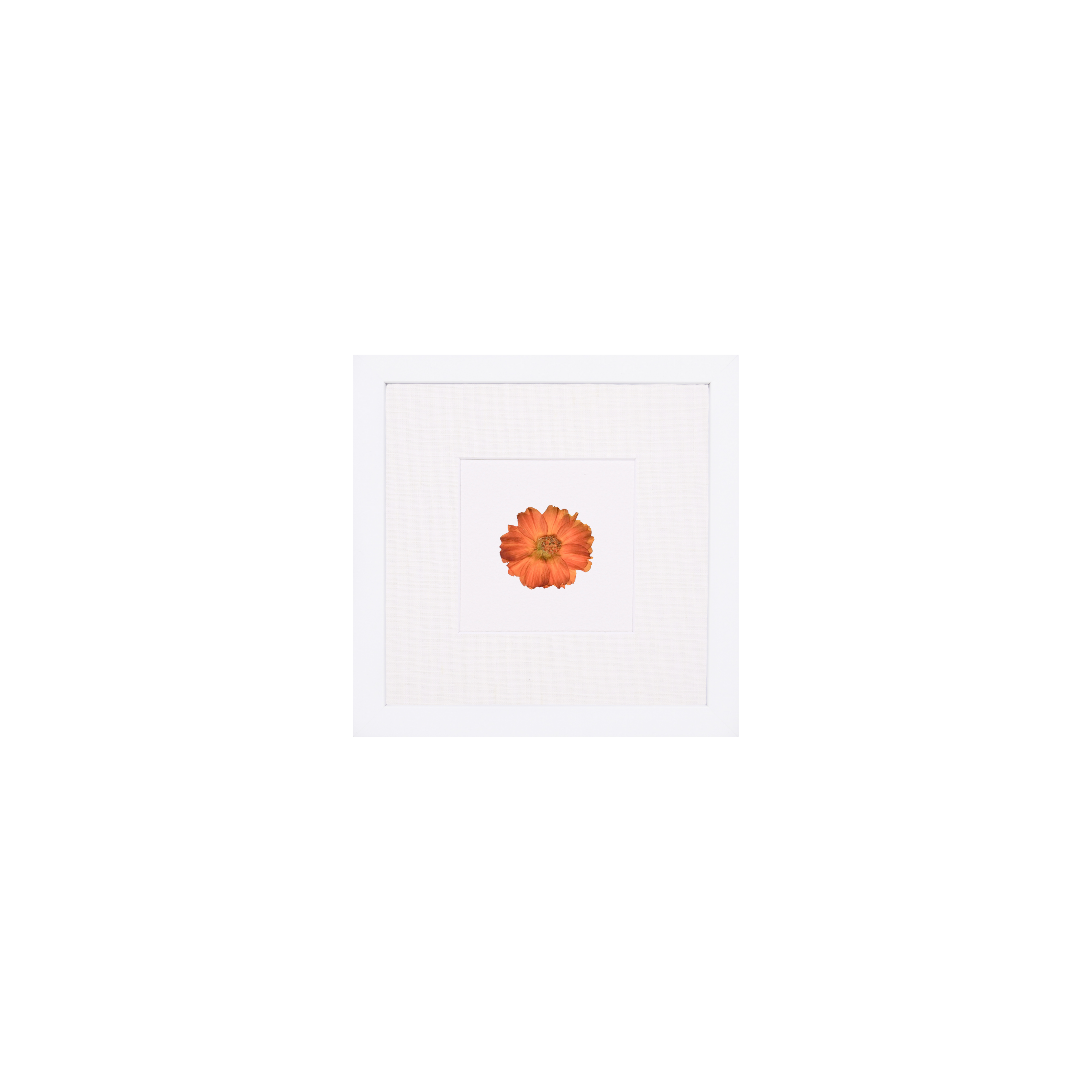Month:October;Color:Solid White;